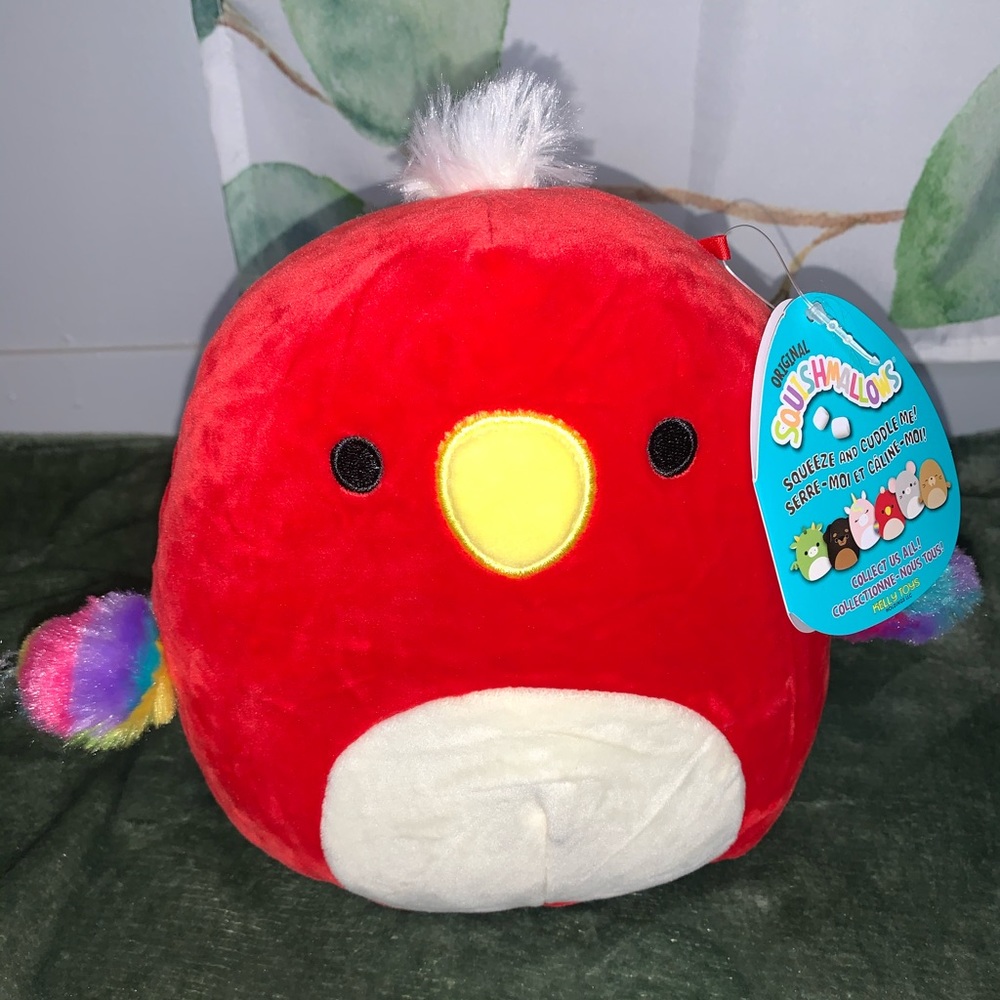 NWT RARE 6” Paco the Parrot Squishmallow
